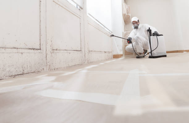 24/7 Emergency Mold Inspection experts in Wylie, TX